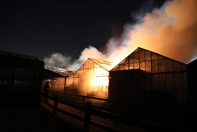 In een kassencomplex en bedrijfsverzamelgebouw aan de Naaldwijkse Opstalweg is vannacht een grote brand uitgebroken.