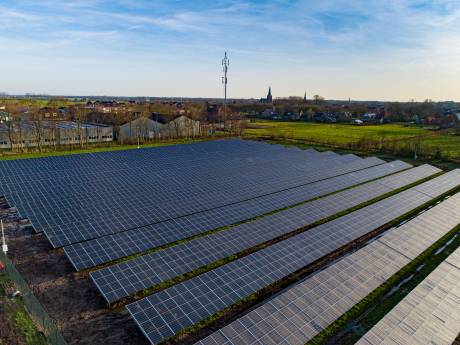 ‘Zonnepark Alphen strandt door strenge regels’