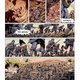 Van Amoras over de loopgraven naar Navajo-flikken: de 5 opvallendste strips van de week