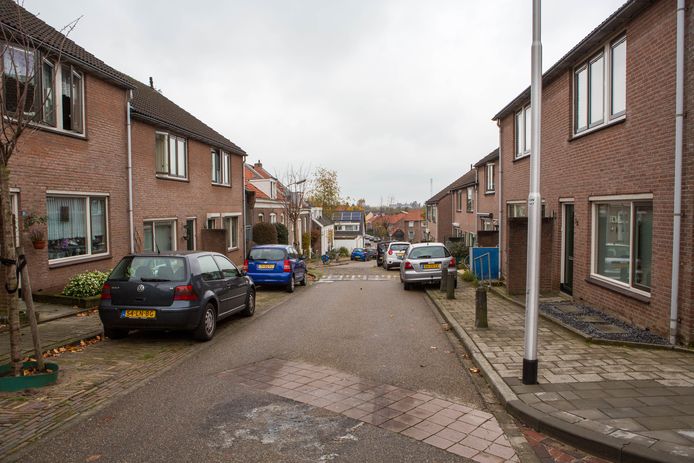 Ook de bewoners van de Palmstraat kunnen als ze dat willen kiezen voor een aansluiting op het warmtenetwerk.