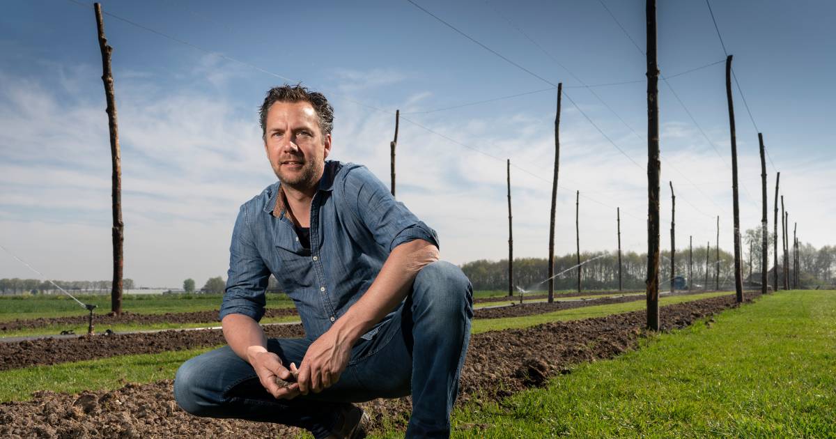 Hopteelt bij Well in de schijnwerpers op tiende editie van Beleef de Boerderij - BD.nl