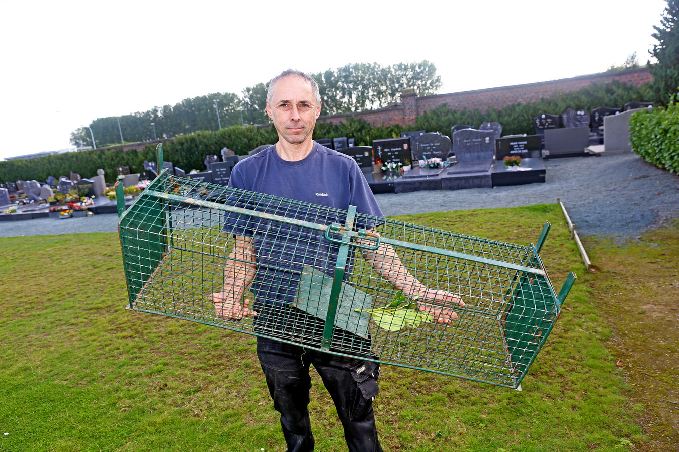 Michel Van Praet toont de kattenval, waarmee hij de komende weken ook konijnen hoopt te vangen.
