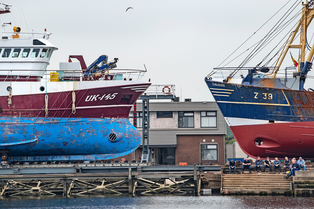 De haven van Urk, twee boten liggen in op het droge voor reparatie en onderhoud.
 Beeld  Guus Dubbelman / de Volkskrant