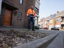 Tegelwippers opgelet: onder de bestrating ligt zout, daar houden nieuwe planten niet van