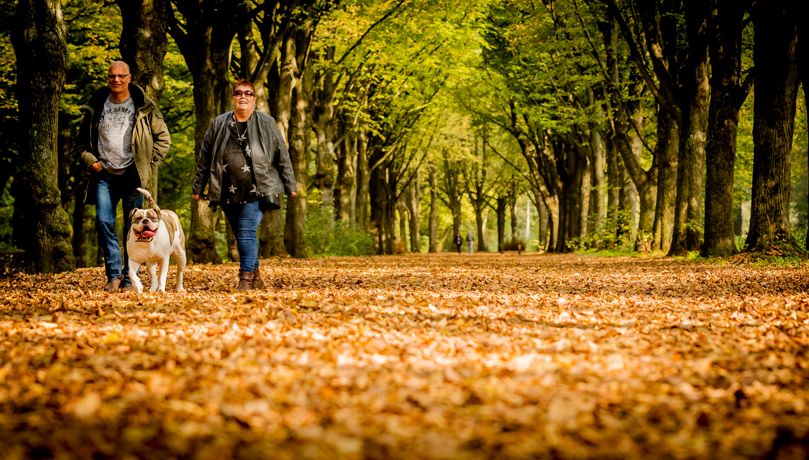 Mensen genieten van het herfstweer in het Amsterdamse Bos.