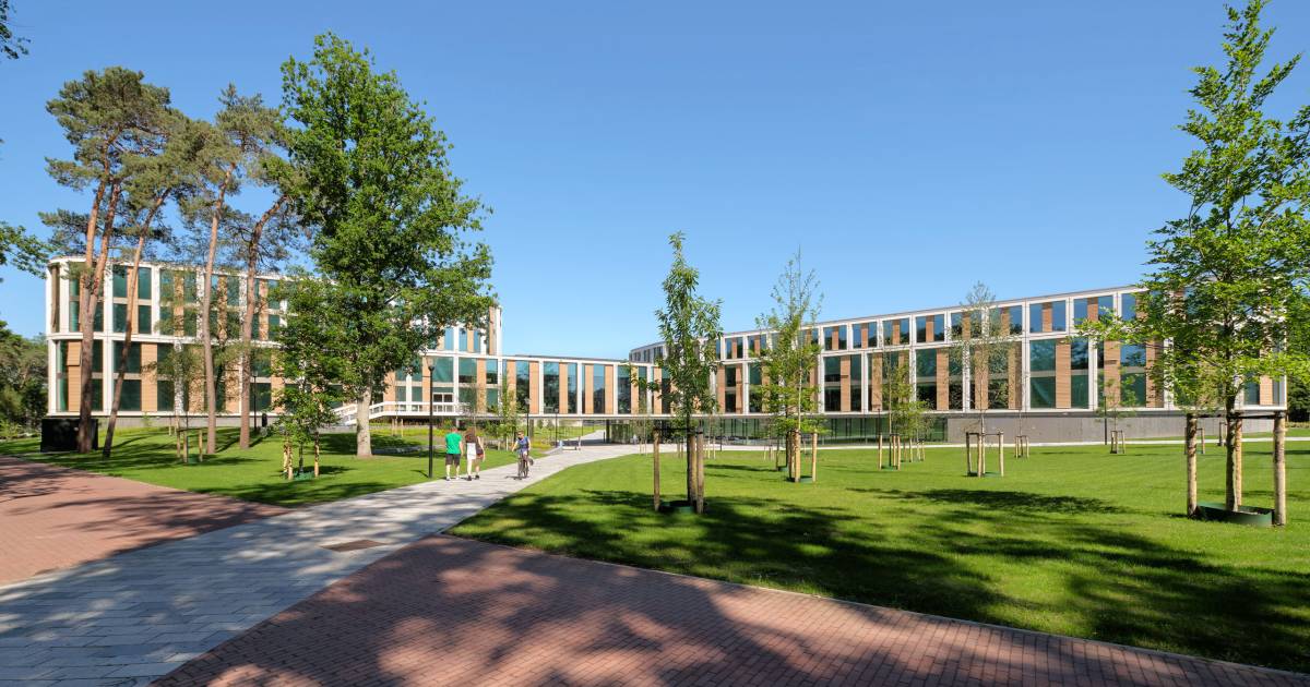 gips Habitat barst Medewerker Radboud Universiteit mag voorlopig niet op campus komen:  onderzoek naar ongewenst gedrag | Nijmegen | gelderlander.nl
