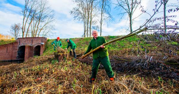 Natuurvereniging en gemeente trekken samen op om sluizen op te knappen bij Doeveren - BD.nl