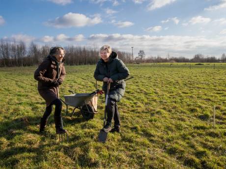 Tuinieren met reeën en Stadsakker als nieuwe buren: 'Je bent letterlijk aan het aarden, tuinieren is heerlijk’