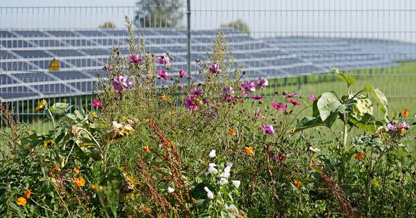Geen belangstelling voor co-creatie zonnewei Gienderwijte bij Nispen - BN DeStem