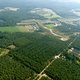 Ook in Limburg verdwijnen de bossen