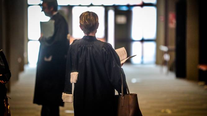 Jaar cel voor geweld na schietpartij met bolletjesgeweer