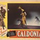 Caldonia is buitengewoon aantrekkelijk vanwege het mee te gillen refrein: Caldonia-YAH, Caldonia-YAH