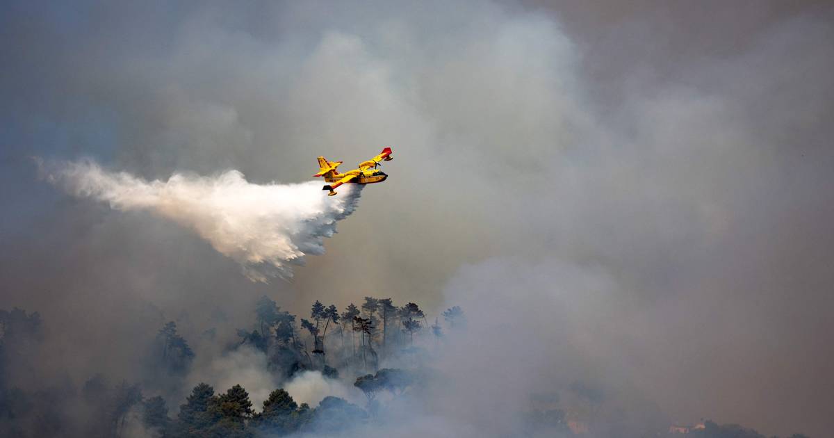 Un corpo di vigili del fuoco che combatte gli incendi boschivi nel nord Italia e in Sicilia |  All’estero