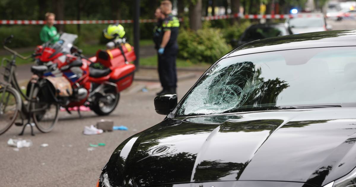 Vrouw (32) overleden na aanrijding in Rijswijk .