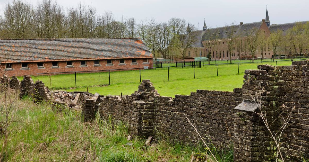 Vele regen nekt historische muur bij Achelse Kluis: ‘Water stond nog ...
