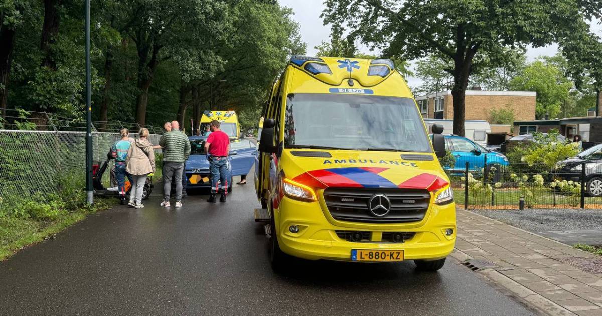 Vrouw en hondje in scootmobiel aangereden, automobiliste naar het ziekenhuis.