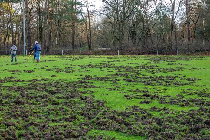 Het trainingsveld van Germania is volledig omgewoeld. De schade kan oplopen tot wel 10.000 euro.