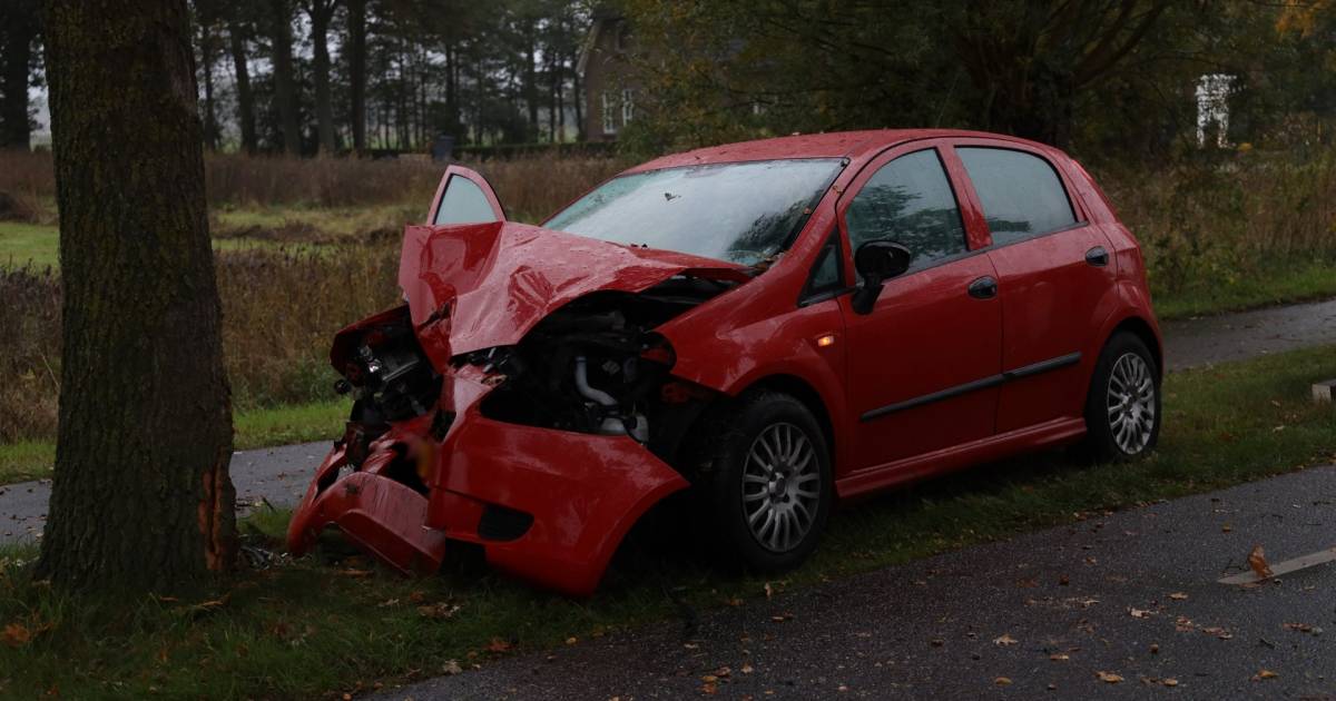 Auto flink beschadigd bij botsing tegen boom in Zeeland, bestuurder gewond naar ziekenhuis.