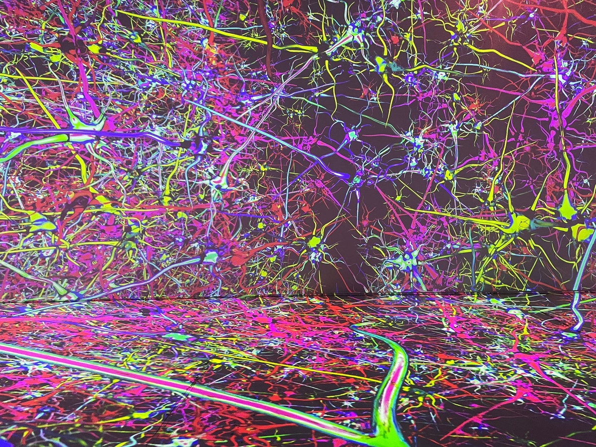 De wereld van de astronauten in expo Planet Happiness: “Creëer je eigen ...