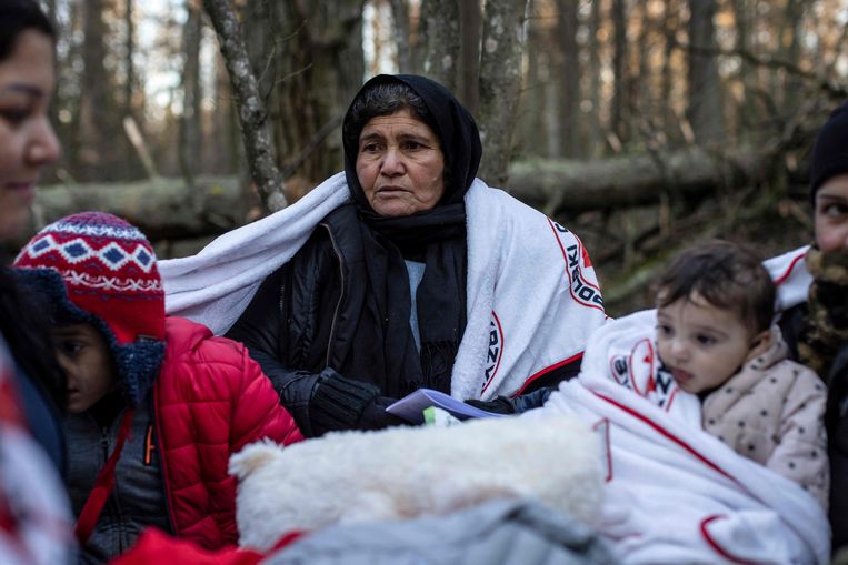 Een oudere Koerdische vrouw uit Irak en haar jonge familieleden wachten aan de Pools-Wit-Russische grens op de grenspolitie, na twintig dagen in het bos te hebben doorgebracht. De 16-koppige familie (drie generatie) is hier te zien aan de Poolse kant, maar werd naar eigen zeggen al acht keer teruggestuurd naar Wit-Rusland. Beeld AFP