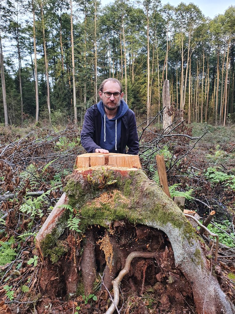 Ecoloog Radoslaw Ślusarczyk tussen de restanten van een bos van zwarte elzen, in Polen. Beeld Ekke Overbeek