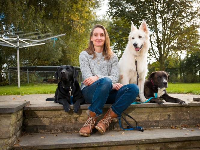 “Baasjes aaien hun hond te veel”: gedragsspecialiste legt uit hoe je je viervoeter minder stress geeft