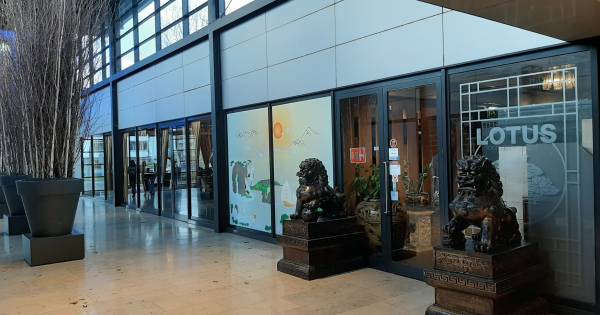 Volle zaak was getuige van gewapende overval op Lotus: ‘We zijn geschrokken'.