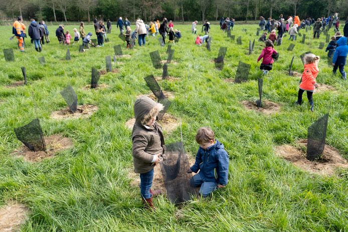 RUISBROEK Leerlingen van de Carolusschool planten een bos aan op het weiland naast de Zielbeek