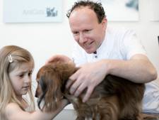 Een giga tekort aan dierenartsen en specialisten: ‘75 procent ziet hun huisdier als kind’