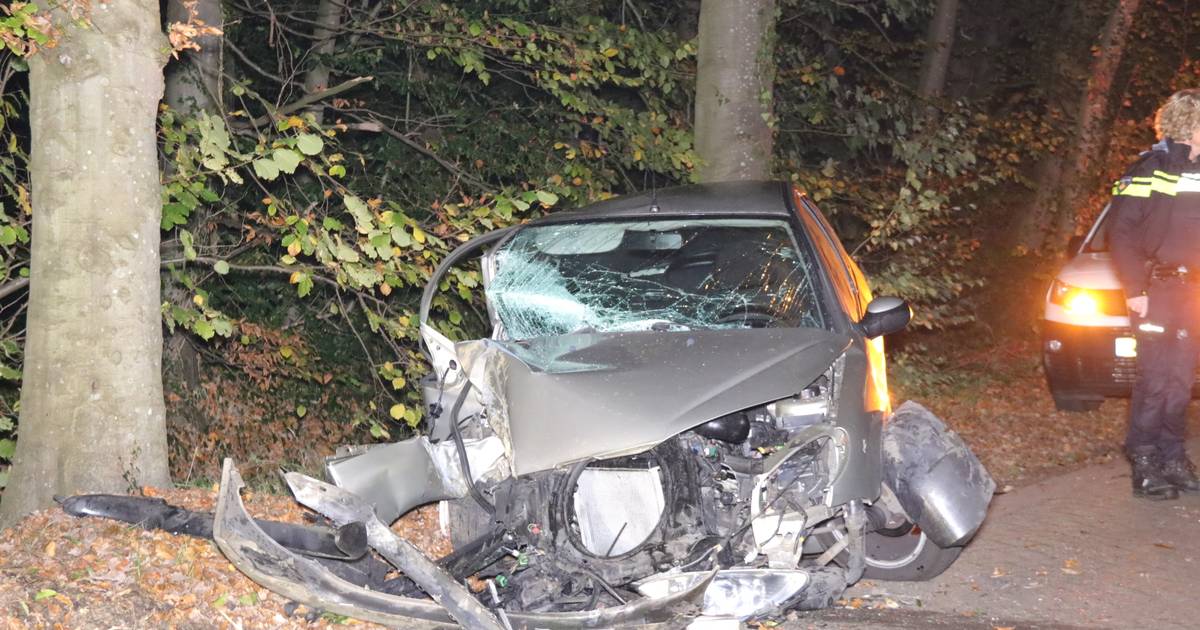 Jonge bestuurder raakt gewond na botsing tegen boom in Nijkerk.