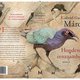 Een pentekening van tropische vogels voor Honderd jaar eenzaamheid