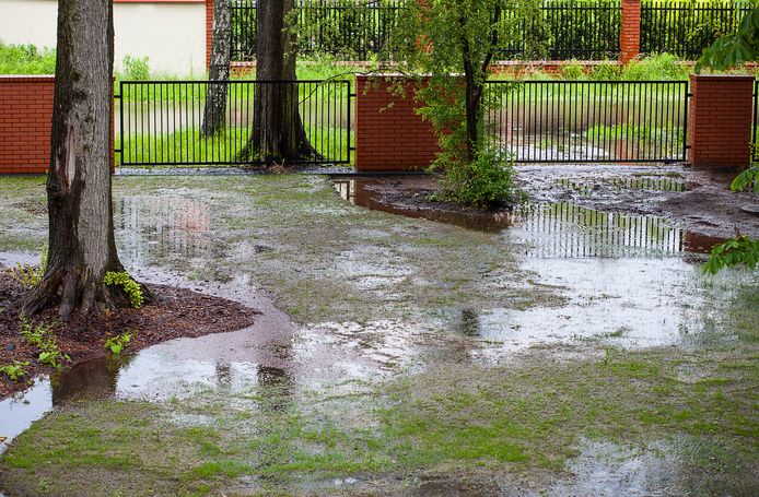 Een overvloed aan neerslag kan flink wat schade aanrichten, zowel aan je tuin als aan je woning.