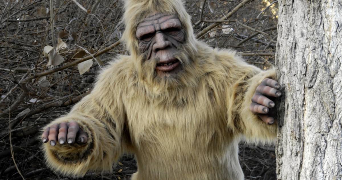 Bigfoot: A Ubiquitous Mythical Creature Set |  Sciences