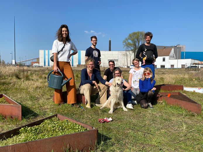 Een aantal buurtbewoners die de nieuwe moestuin aan de Oude Dokken mee vormgeven.