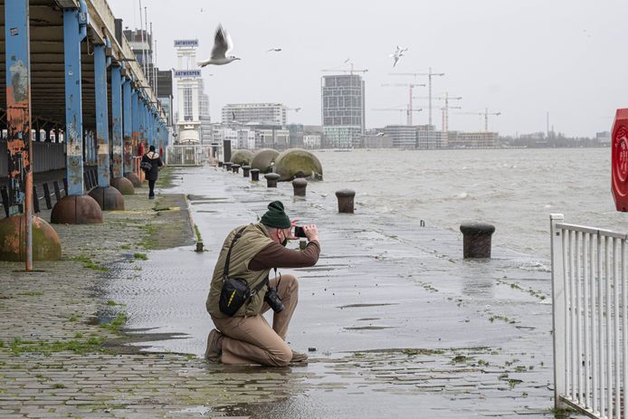 De Schelde klotste vanaf 14.30 uur over de zogenaamde 'blauwe steen'. Deze man wou dat moment niet missen.