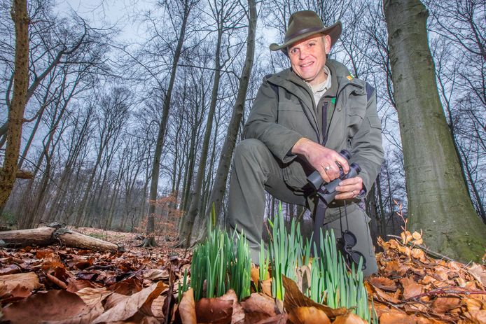 Boswachter Mark Kras bij ontluikende sneeuwklokjes.