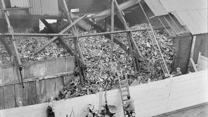 Het afscheid van de Benenkluif: de Utrechtse stinkfabriek vol ratten en maden