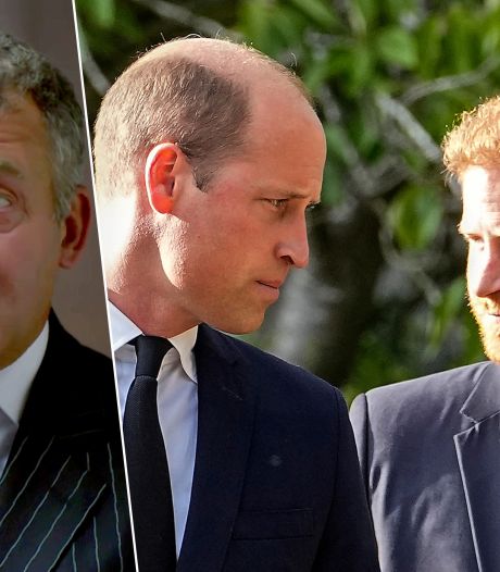 L’ex-majordome de Diana veut partager ses secrets avec William et Harry “avant qu’il ne soit trop tard”