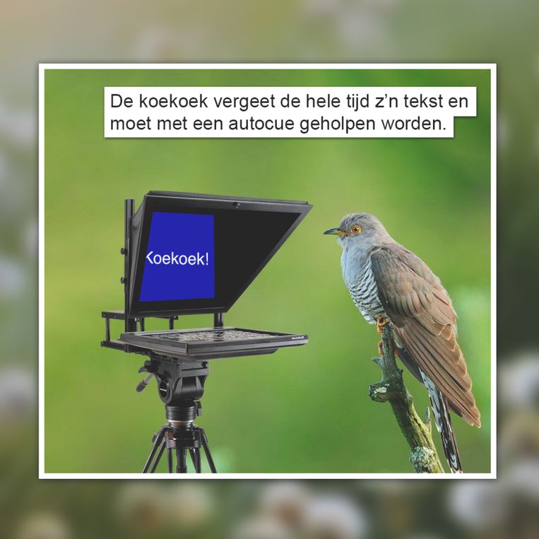 Gat van de wereld Beeld GVDW