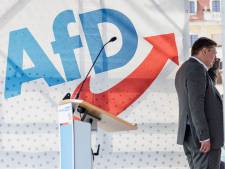 Une "alliance" d'entreprises allemandes entre en campagne contre l'extrême droite