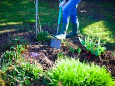 ‘De tuin is bedoeld om lol aan te beleven, niet voor het voeren van een chemische oorlog’