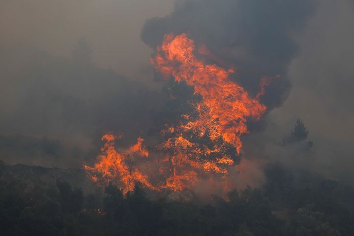 Fiamme nel villaggio greco di Avidnes, vicino ad Atene.