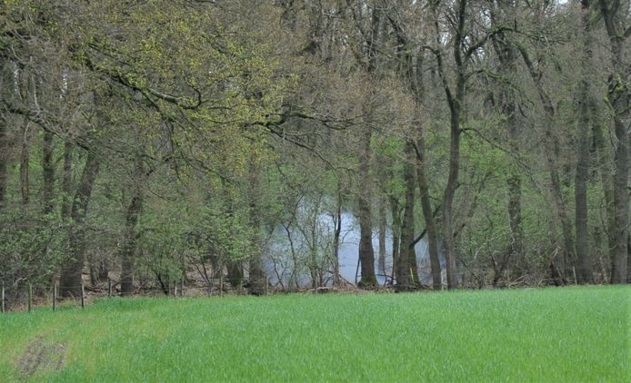 De granaat werd in een nabijgelegen bos tot ontploffing gebracht