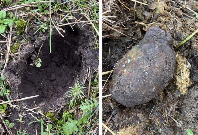 Een Engelse handgranaat uit de Tweede Wereldoorlog werd gevonden in een paardenwei in Wintelre.