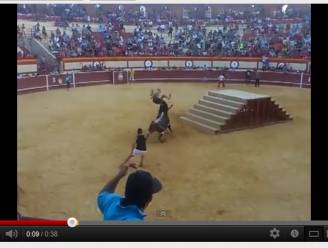 Stierenvechter (59) overleeft miraculeus wilde aanval stier van 900kg en stopt