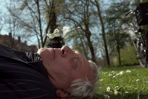 Het Uur van de Wolf: Het Greenaway Alfabet