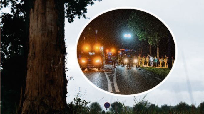 De boom waartegen de auto abrupt tot stilstand kwam laat de sporen zien van het drama dat zich vannacht afspeelde aan de Wijheseweg in Broekland.