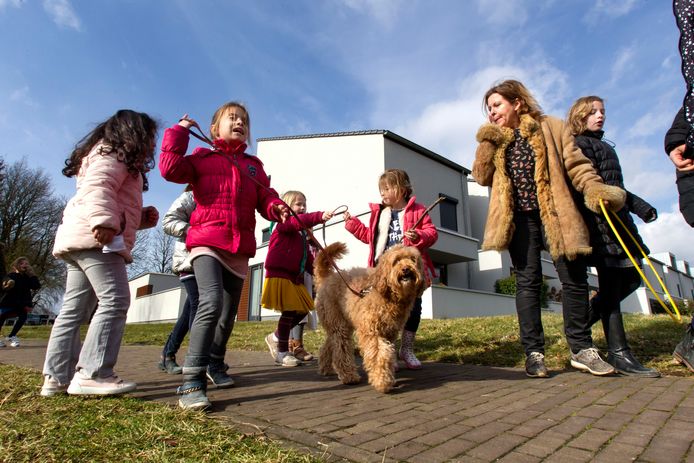 De kinderen van basisschool 't Slingertouw in Meerhoven gaan een blokje om met therapiehond Hannes en haar baasje Karin Jonkers.