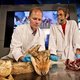 Naturalis: gevonden wolf is echt een wolf