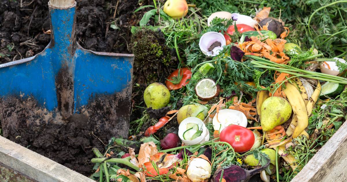 As of January 1, organic waste will no longer be allowed in your residual waste: How can you successfully (start) composting at home?  |  My guide